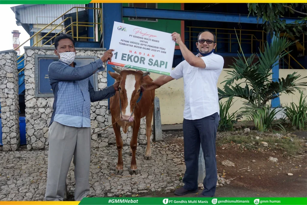 Tutup Giling Tebu 2020, Pabrik Gula Blora (PT GMM) serahkan Bantuan Ternak Sapi untuk Petani Tebu 1